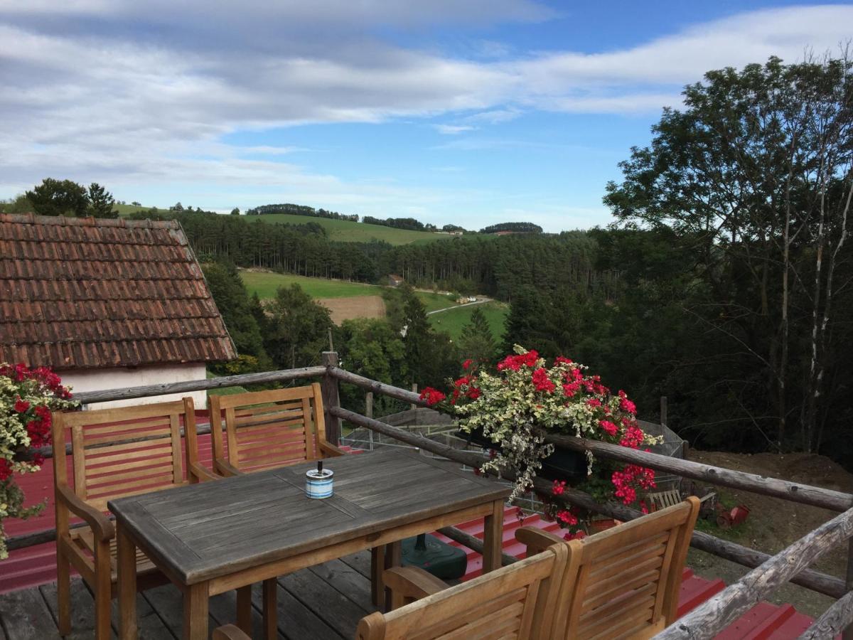 Villa Haflingerhof Luef Bad Schönau Esterno foto