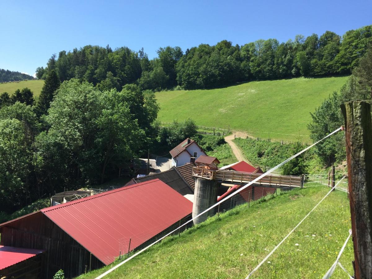 Villa Haflingerhof Luef Bad Schönau Esterno foto