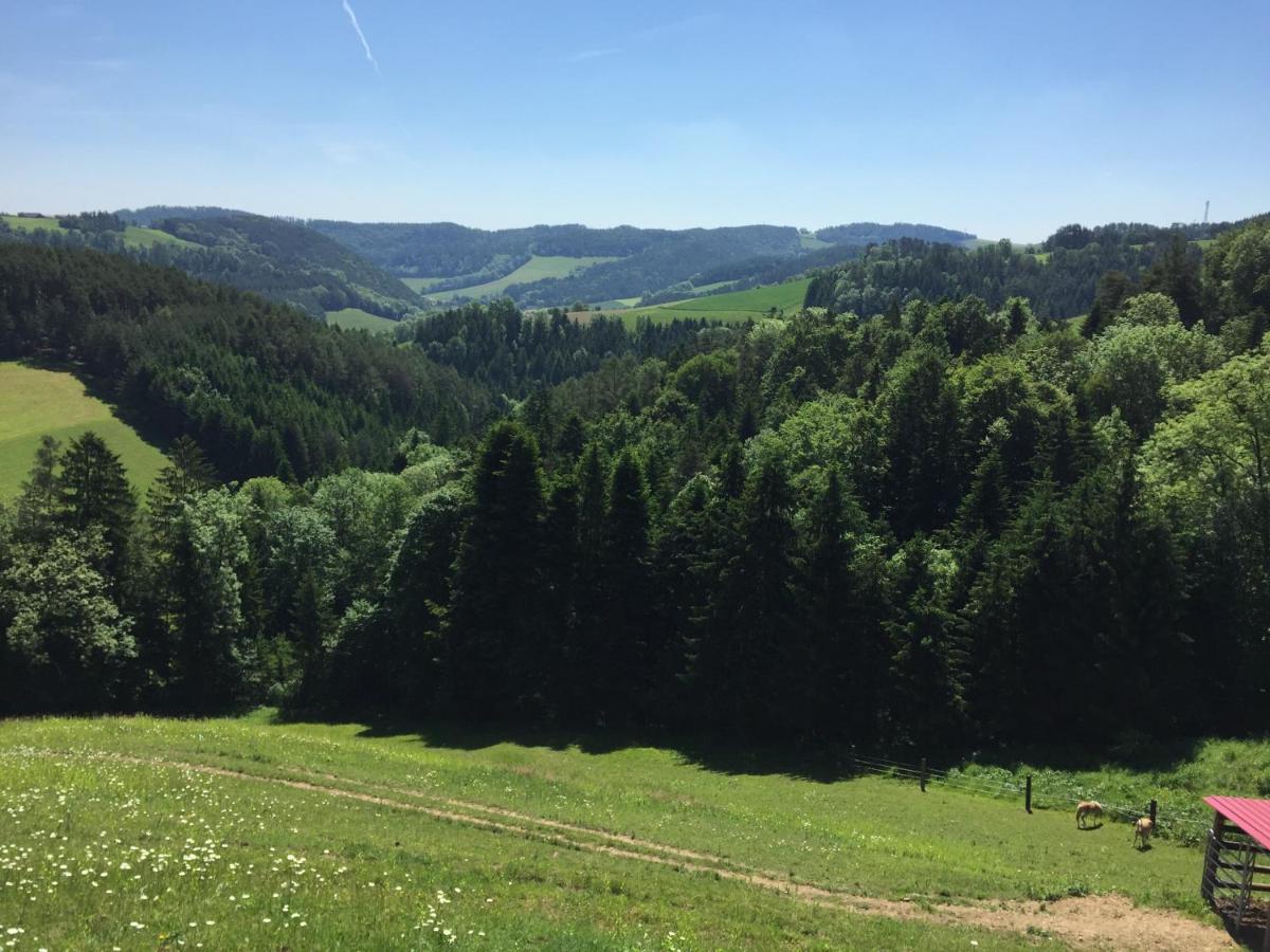 Villa Haflingerhof Luef Bad Schönau Esterno foto