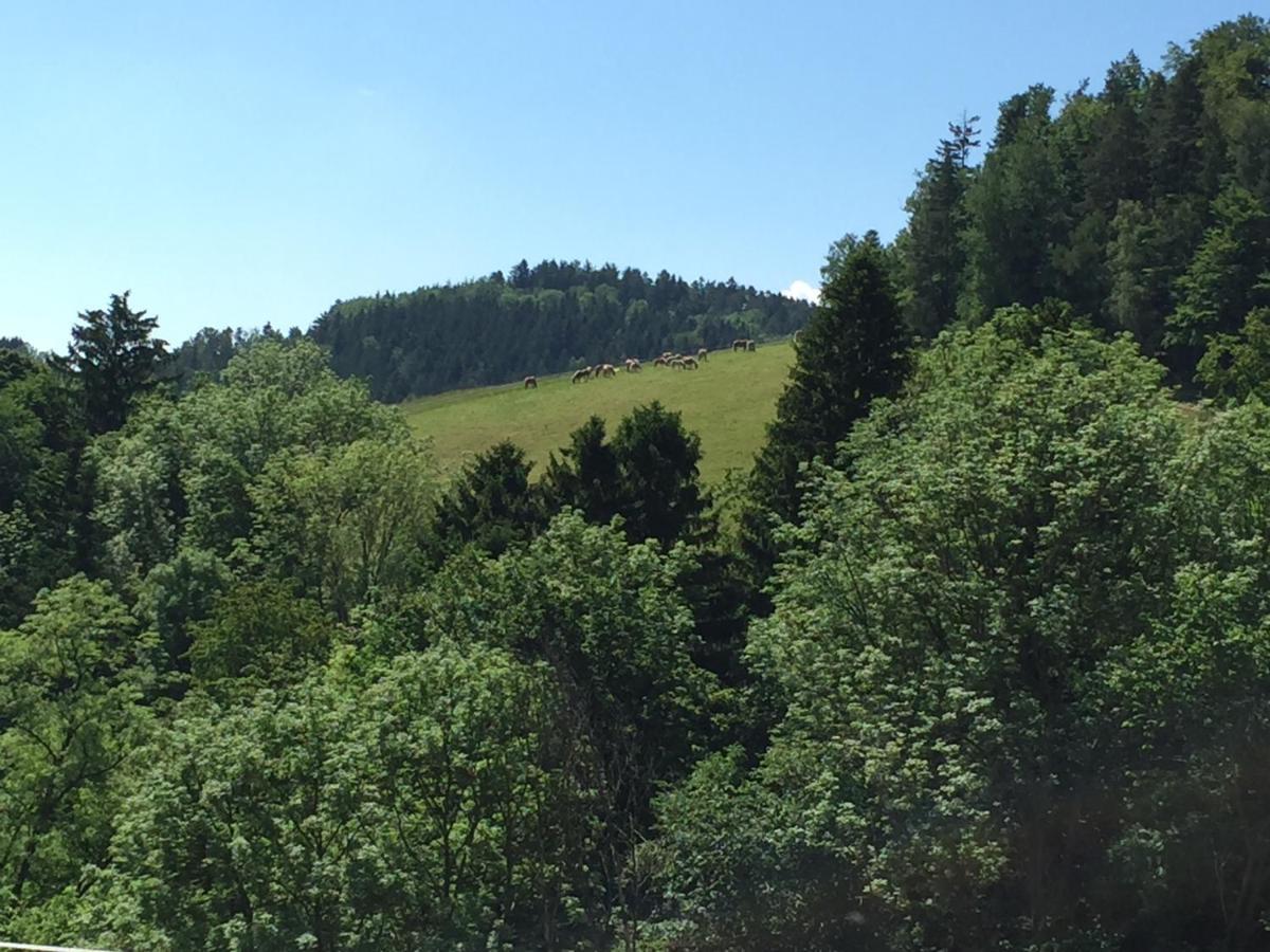 Villa Haflingerhof Luef Bad Schönau Esterno foto